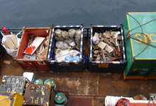 Waste Management Services